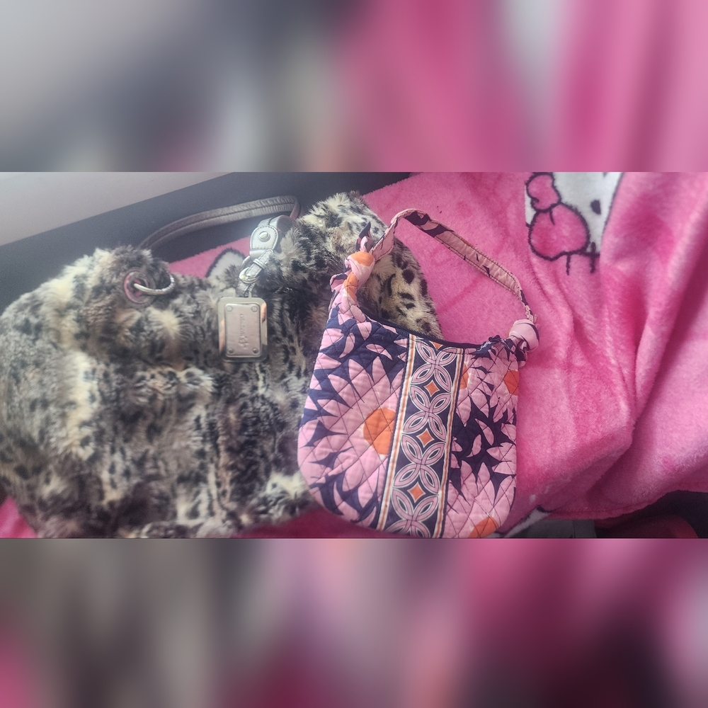 Bag bundle